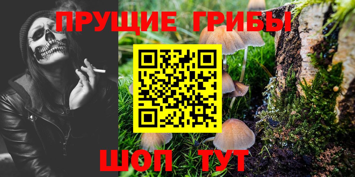 Псилоцибиновые грибы Psilocybe Южноуральск